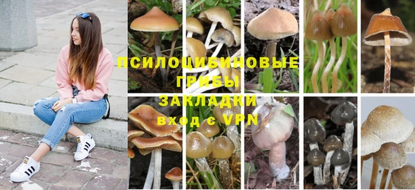 молекула духа Магадан