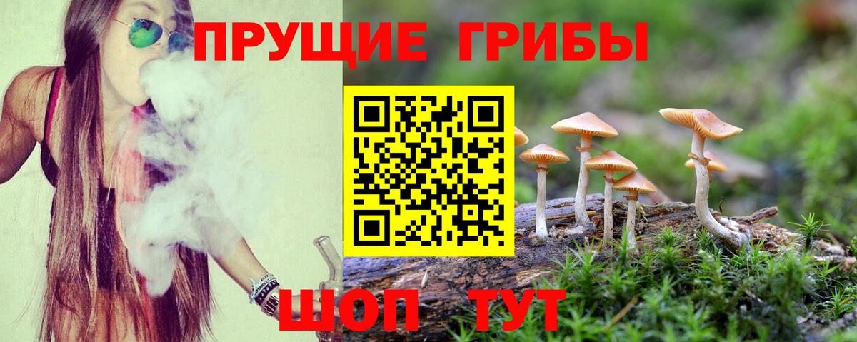 Псилоцибиновые грибы Cubensis Фурманов