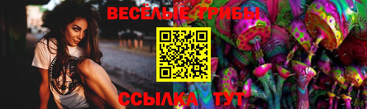 Псилоцибиновые грибы Cubensis  Вход с VPN  Псилоцибиновые грибы GOLDEN TEACHER  Фурманов 